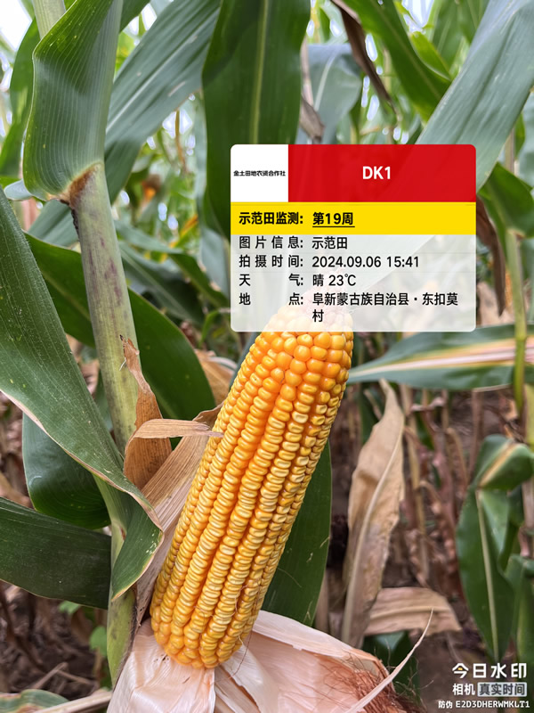 活动照片