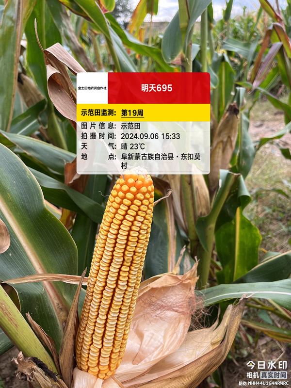 活动照片