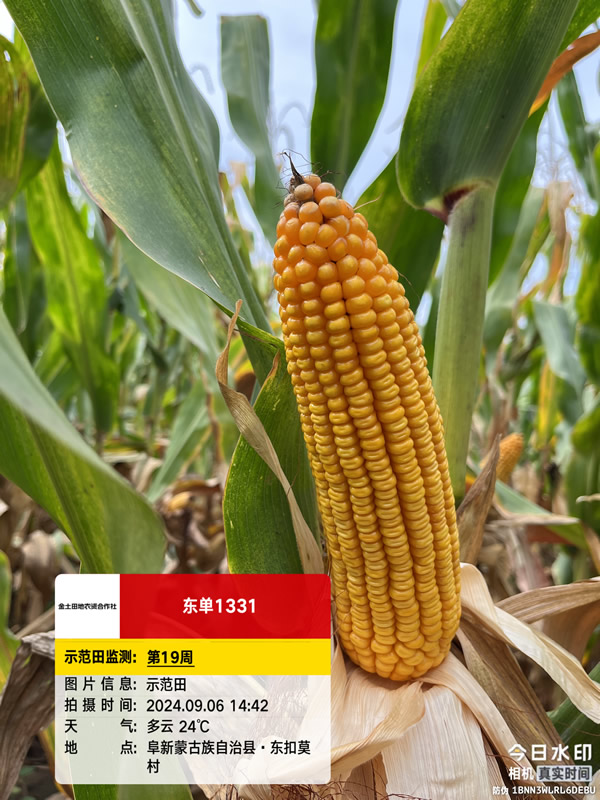 活动照片