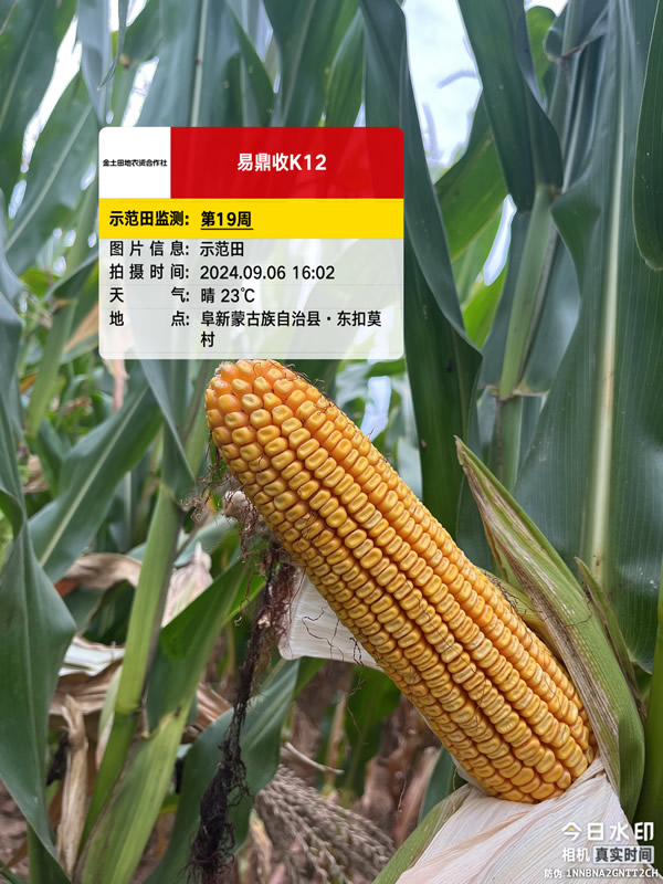 活动照片