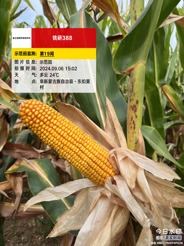 活动照片