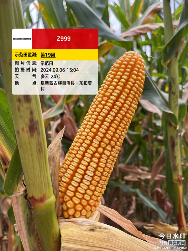 活动照片
