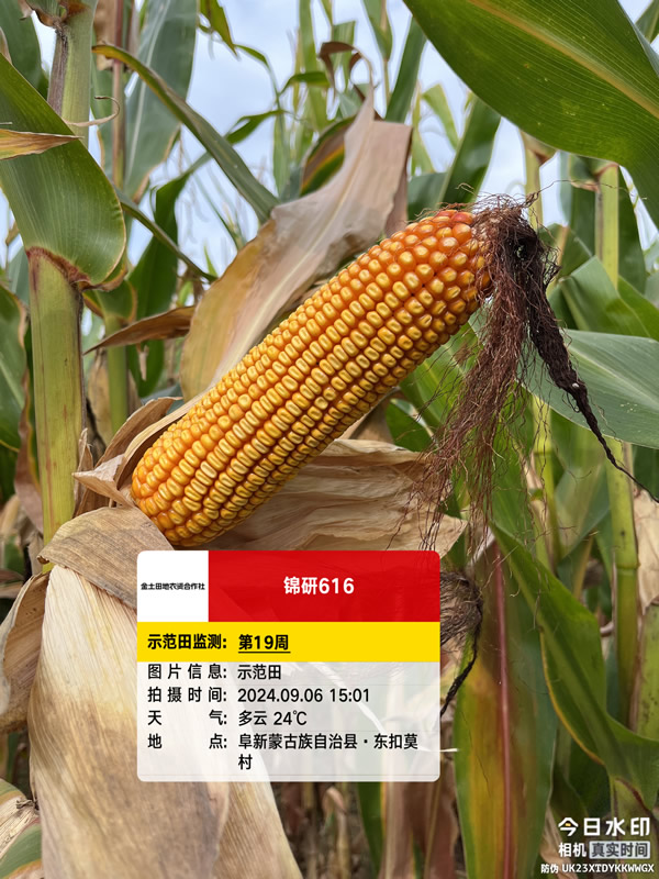 活动照片
