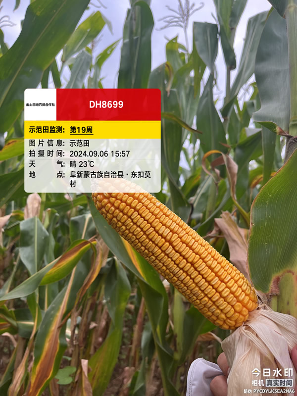 活动照片