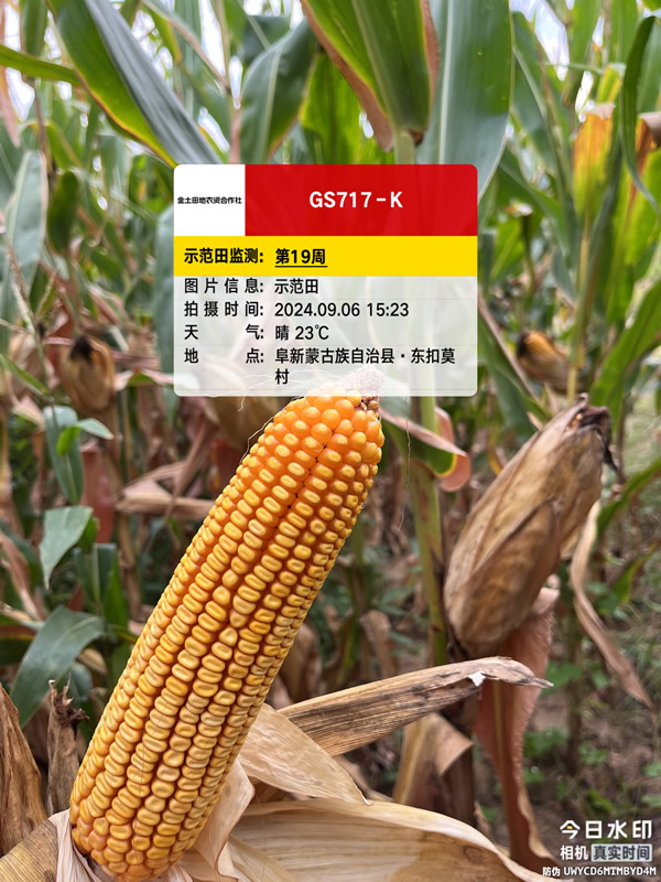 活动照片