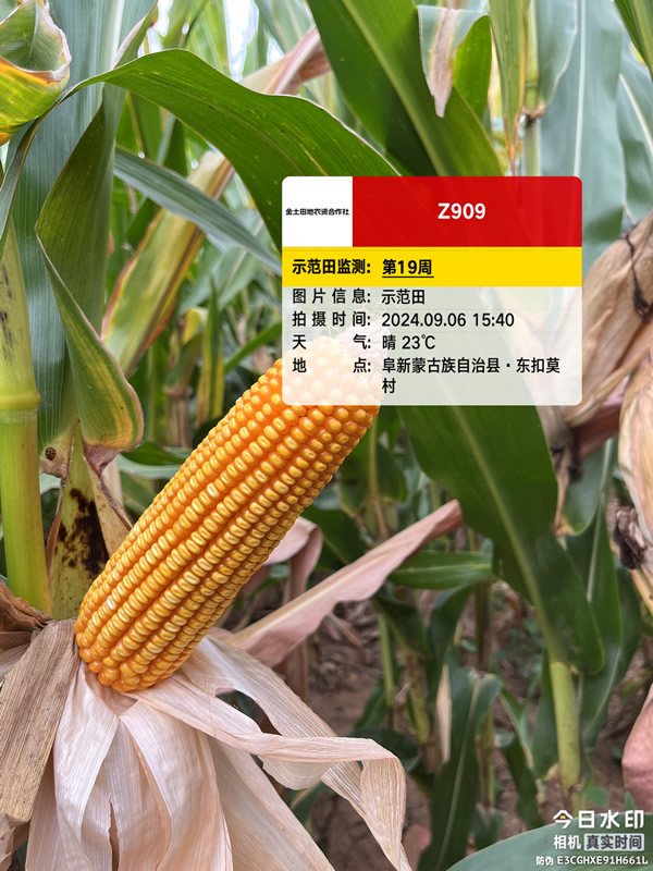 活动照片
