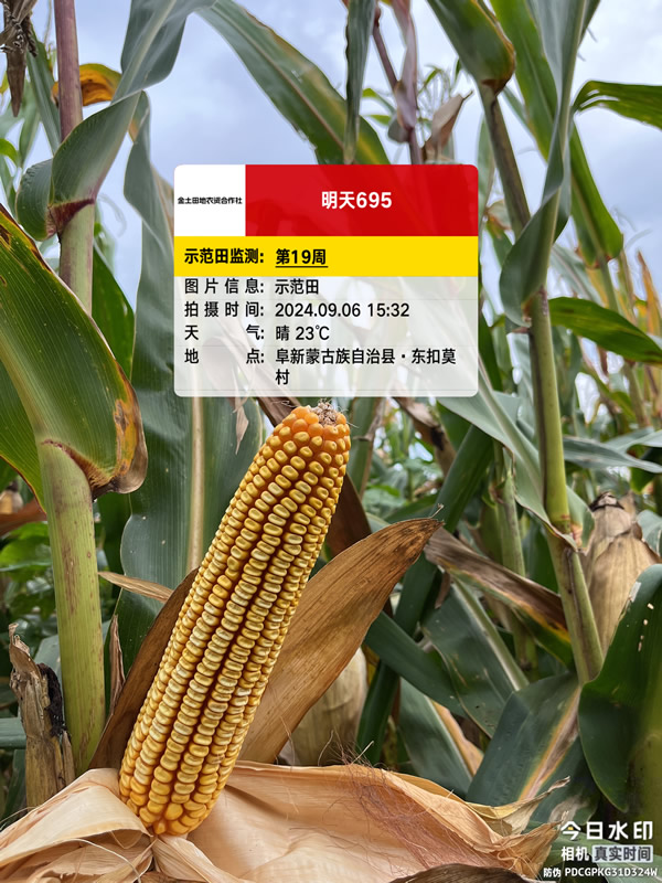 活动照片