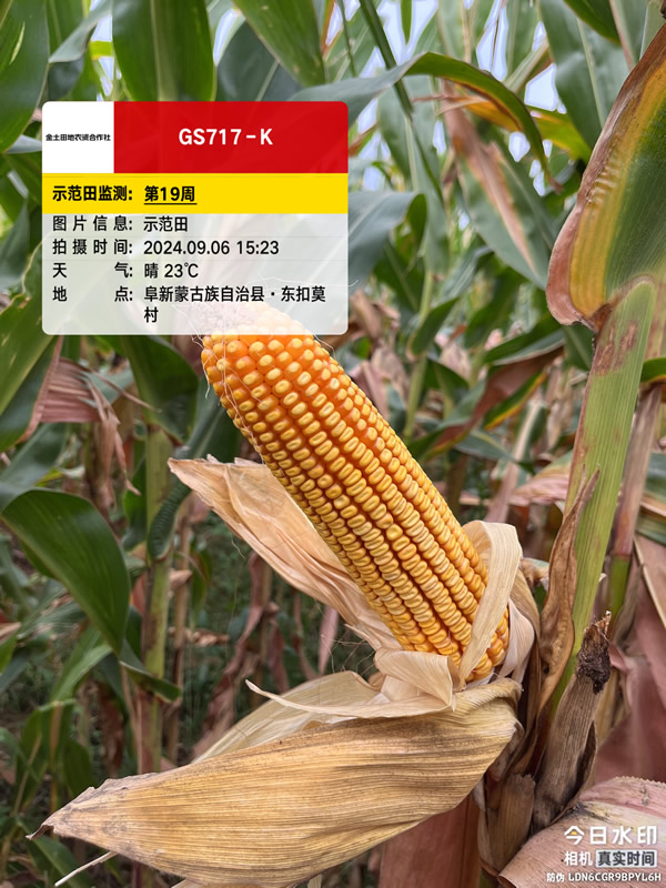 活动照片