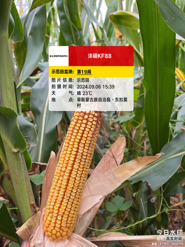 活动照片