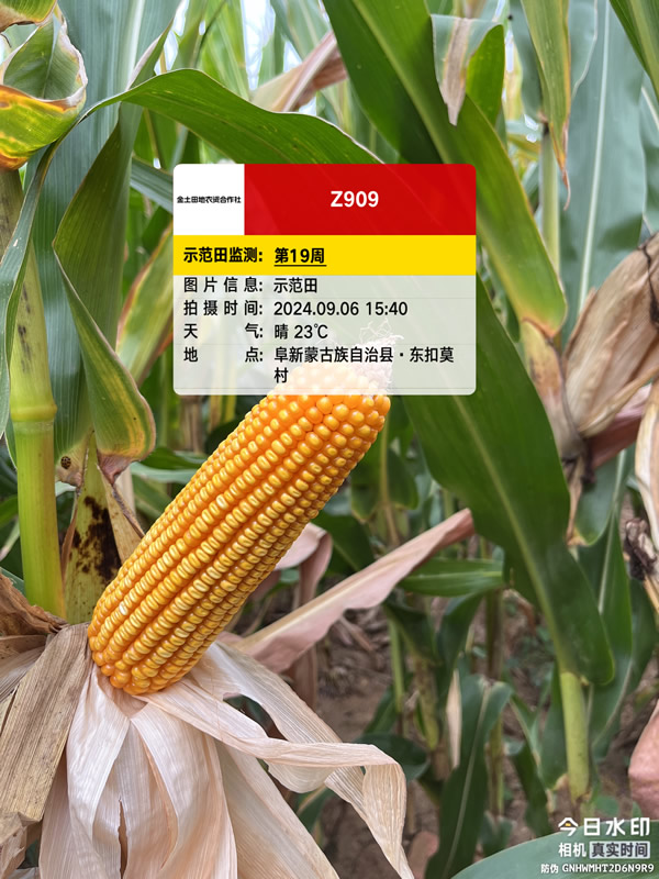 活动照片