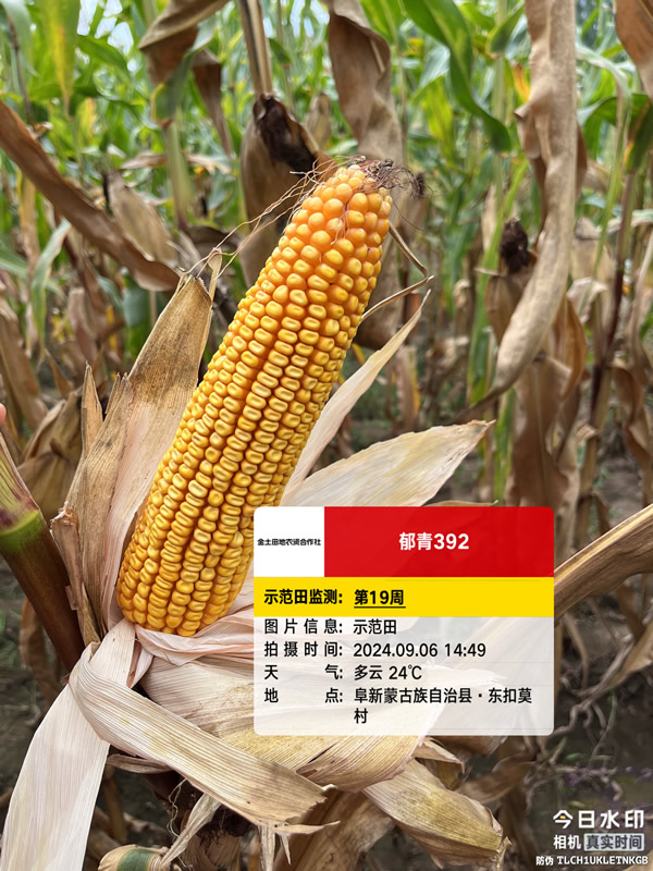 活动照片