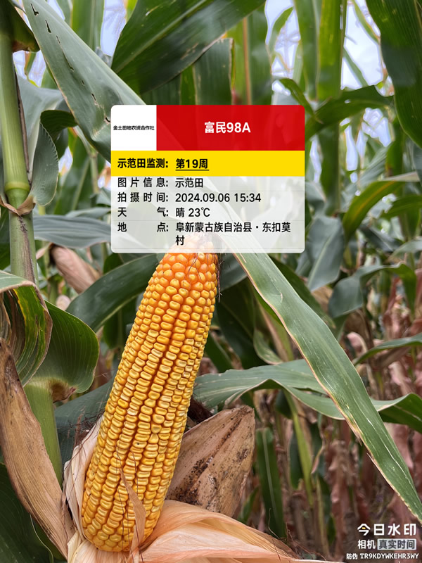 活动照片