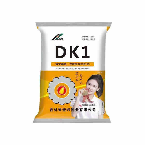 DK1