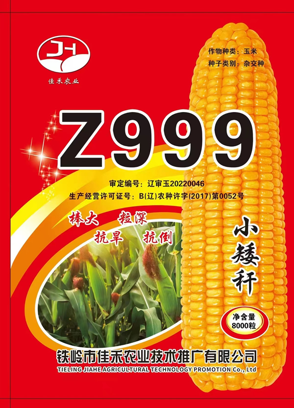 Z999