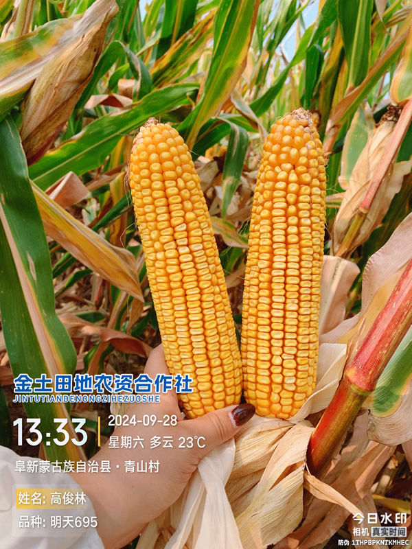微信图片_20240928142329.jpg