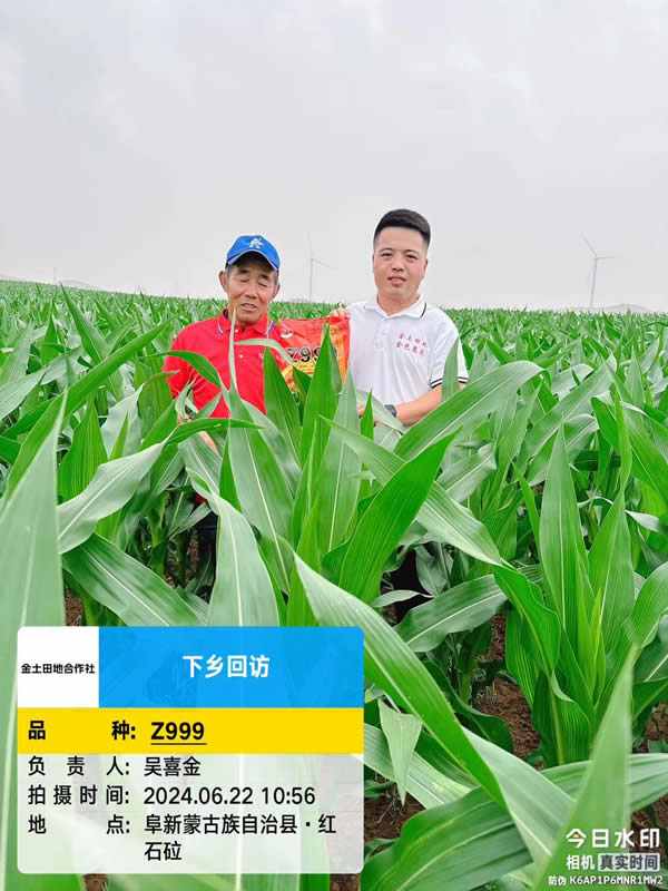 微信图片_202406231626332.jpg