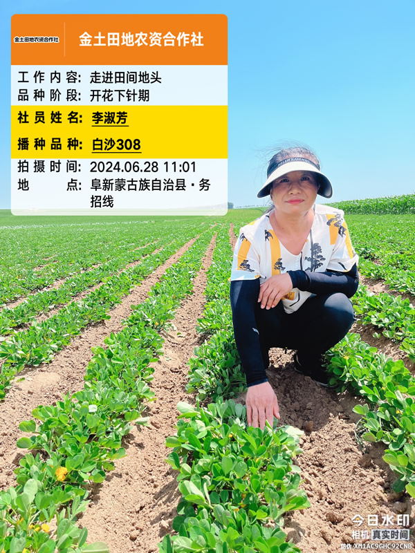 白沙308