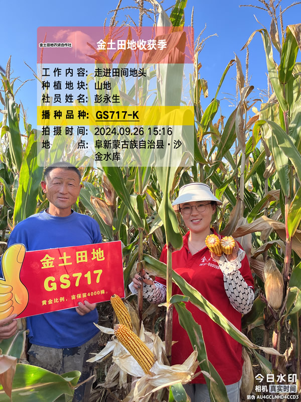 GS717
