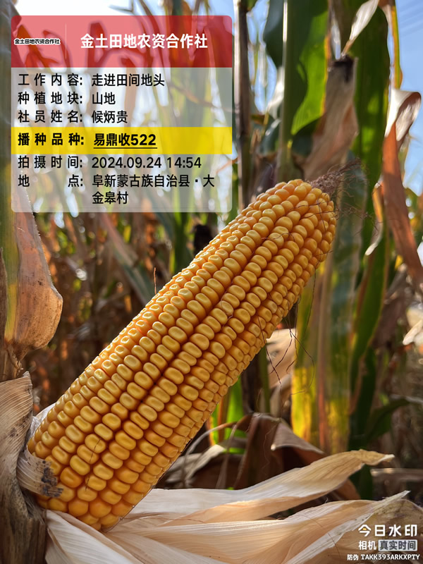 522