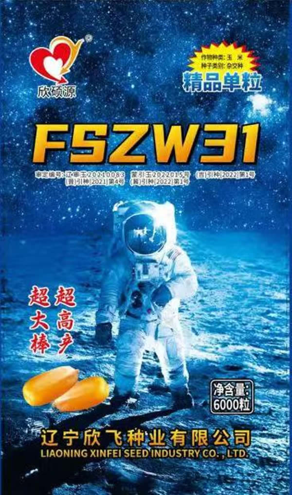 FSZW31
