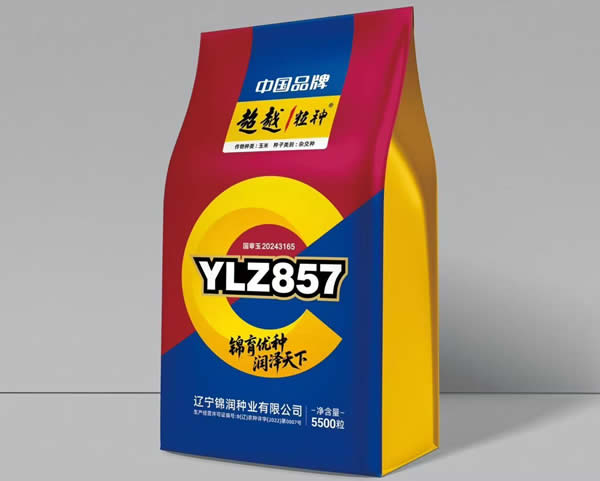 YLZ857