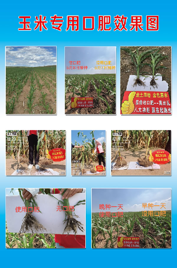 玉米专用口肥
