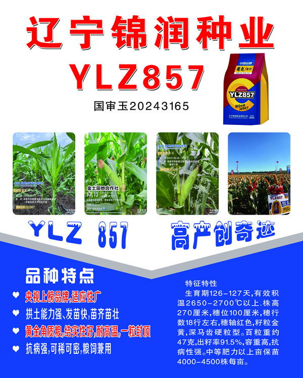 YZL857